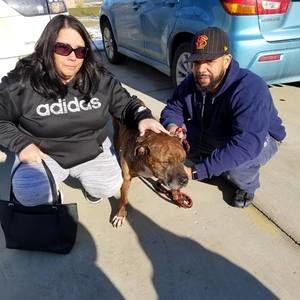 Meet your Posher, Jay cat